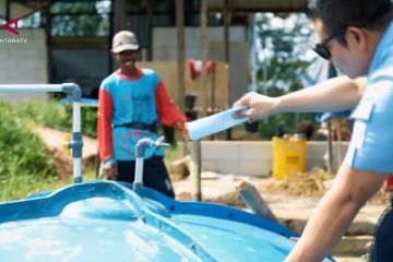 Biogas ternak jadi alternatif energi desa di Kaltim