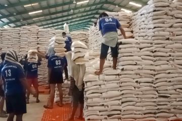 Bulog bangun 7 gudang pangan di Kaltim-Kaltara demi pemerataan pasokan