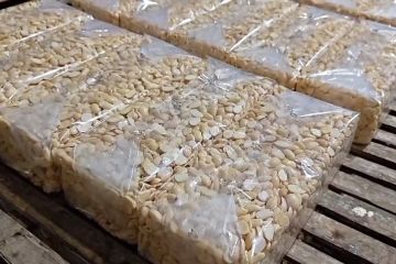 Tempe hadapi krisis ganda, lonjakan plastik dan kedelai