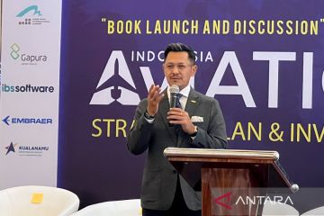 INACA sebut pasar domestik jadi kekuatan utama penerbangan RI