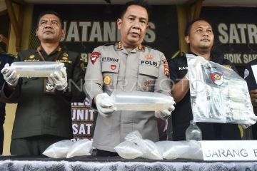 Polisi gagalkan penyelundupan benih lobster di Jambi