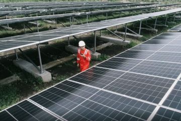 PLN Indonesia Power bidik pasar Amerika Latin dan Karibia