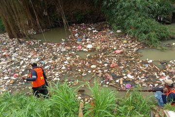 Pemprov Banten dan relawan gencarkan pemulihan ekosistem sungai