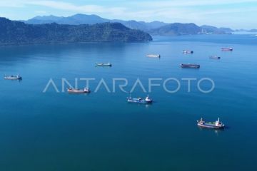 Upaya mengurangi antrean kapal di Teluk Bayur