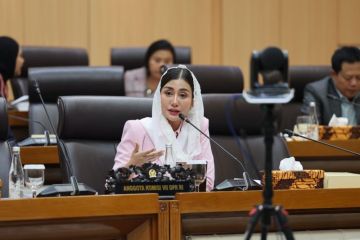 Komisi VII DPR dorong Piala Dunia 2026 jadi penggerak ekonomi daerah