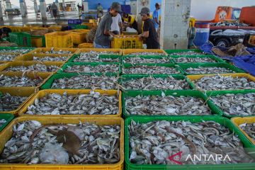 Proyeksi produksi ikan nasional