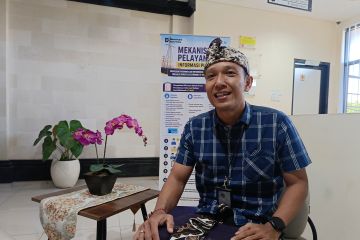 PLN sebut Bali punya potensi energi bersih hingga 2.000 MW