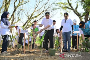 Sumbar tanam 1.000 pohon untuk pulihkan lingkungan terdampak bencana