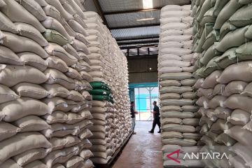 Bulog Sumut dapat tambahan 15.000 ton beras perkuat stok pangan