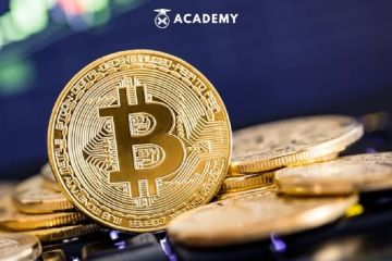 Bittime nilai revisi UU PPSK perkuat ekosistem industri kripto RI