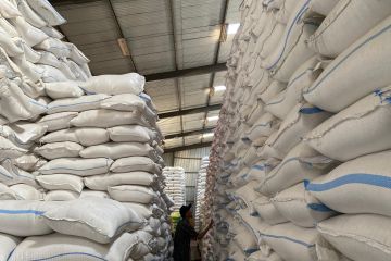 Jangan terlena oleh rekor, produksi beras harus terus dijaga