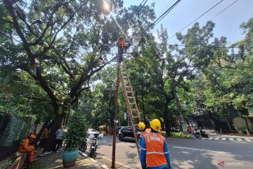 Petugas copot kabel di Jalan Lauser Jaksel imbas kecelakaan siswi SMAN 6