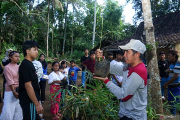 Menanam bambu untuk menjaga mata air
