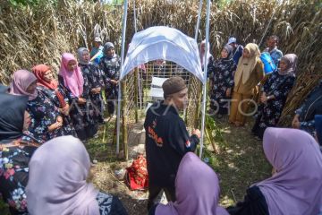 Prosesi Maatam Tabuik di Pariaman