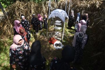 Prosesi Maatam Tabuik di Pariaman