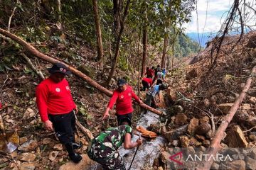 Tangani dampak gempa, BNPB perbaiki infrastruktur darurat di Sigi