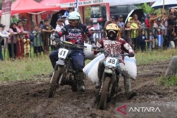 Balap manol gabah di Banyuwangi