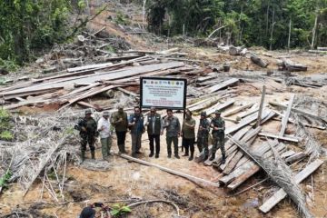 Kemenhut kawal putusan PT BRN bayar ganti rugi ekologi Rp78,1 miliar