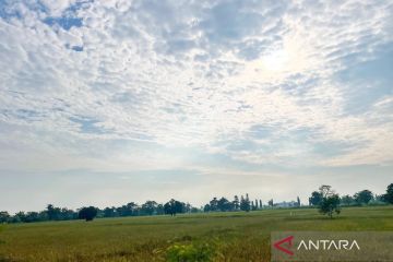 Pemkab Cirebon berlakukan siaga darurat kekeringan hingga September