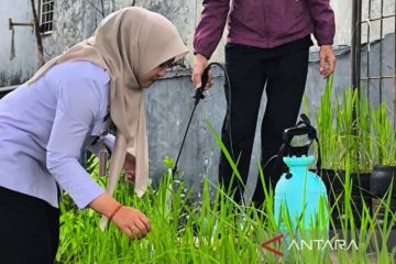DKI kemarin, penertiban Kampung Bali hingga budi daya padi di galon