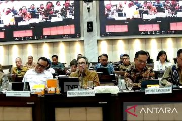 Ekonom ingatkan risiko pemberian insentif pajak 50 tahun di PFII