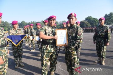 Marinir beri penghargaan prajurit berprestasi di Operasi Kasuari