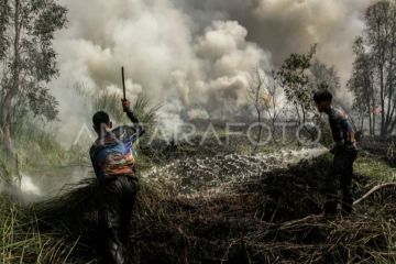 Kalteng optimalkan pemadaman darat dan udara tanggulangi karhutla