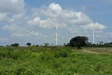 Peneliti: Tata kelola ekspor batubara dukung transisi energi&nbsp;
