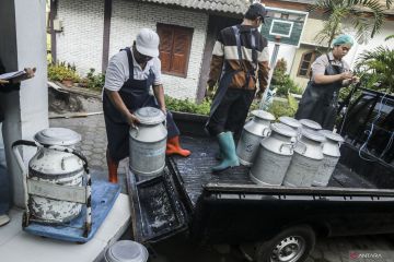 Produksi keju artisan di Sleman serap susu peternak lokal
