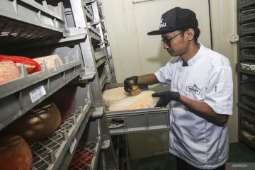Produksi keju artisan di Sleman serap susu peternak lokal