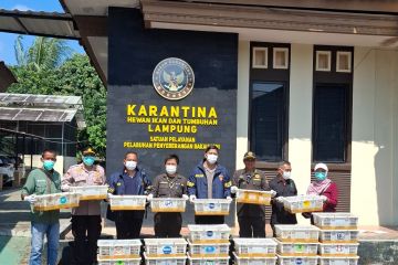 Karantina Lampung sebut Bakauheni rawan penyelundupan satwa