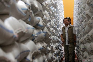 Tinjau stok beras