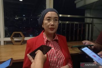 Anggota DPR: Kasus Indramayu jadi momentum perkuat perlindungan anak
