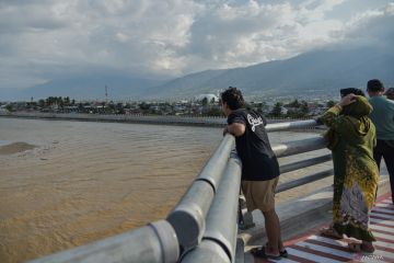 Aktivitas buaya muara Sungai Palu jadi perhatian warga