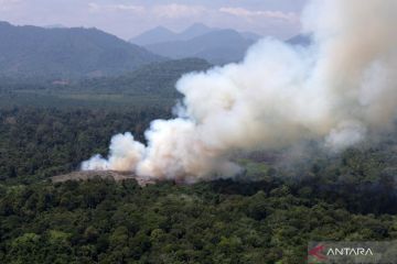 Kebakaran hutan dan lahan gambut di Kalimantan Barat