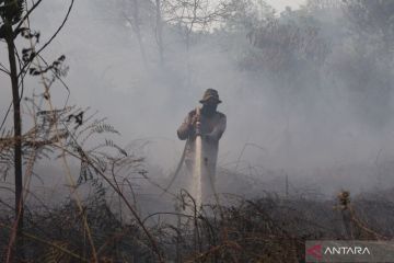 Karhutla di belakang dua sekolah di Kubu Raya