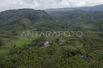 Transmigran Kerinci menunggu penyelesaian hak lahan