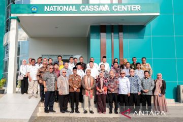 Menteri PPN: Pengembangan singkong di Indonesia miliki prospek besar