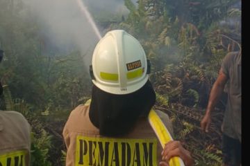 Kebakaran yang menganggu KRL di Jakut diduga akibat puntung rokok