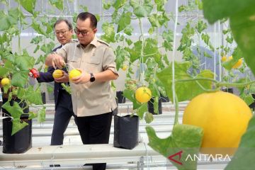 BRIN-KIST kembangkan pertanian cerdas melalui rumah kaca pintar