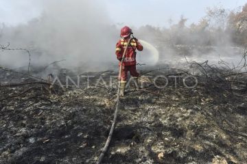 Upaya penanganan karhutla di Muaro Jambi