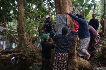 Tradisi metri bumi sumber air di Trenggalek