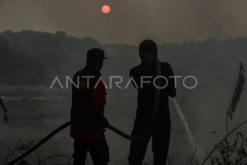 Pemadaman kebakaran lahan di Batang Hari