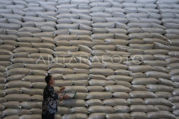 Serapan Bulog dinilai kunci jaga harga gabah saat beras surplus