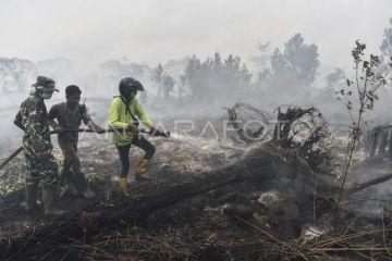 Pemadaman karhutla di Tanjung Jabung Timur