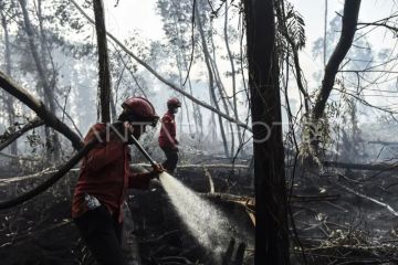 Pemadaman karhutla di Hutan Lindung Gambut Londerang