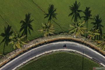 Pengaspalan jalan kawasan pertanian di Kendari