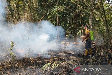 BPBD Banyumas perkuat kesiapsiagaan hadapi karhutla saat kekeringan