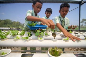 Kemandirian pangan pondok pesantren
