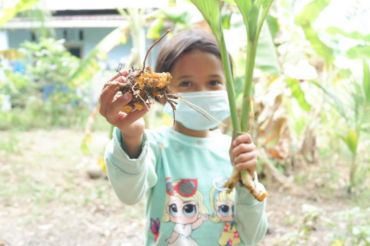 BRIN researchers find anti-cancer potential in turmeric soil bacteria